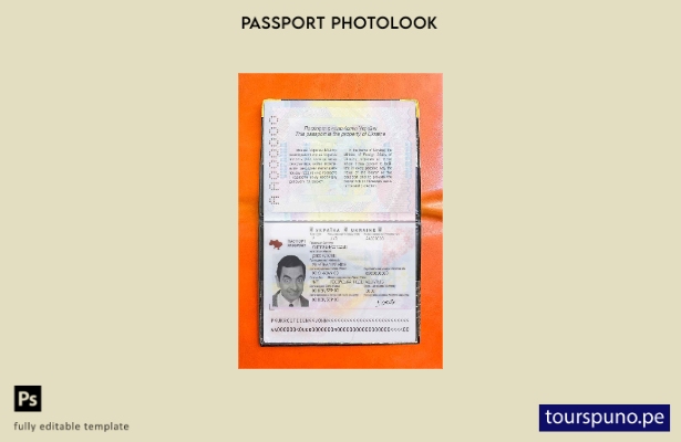 Plantilla de apariencia de foto de pasaporte de Ucrania lista para imprimir